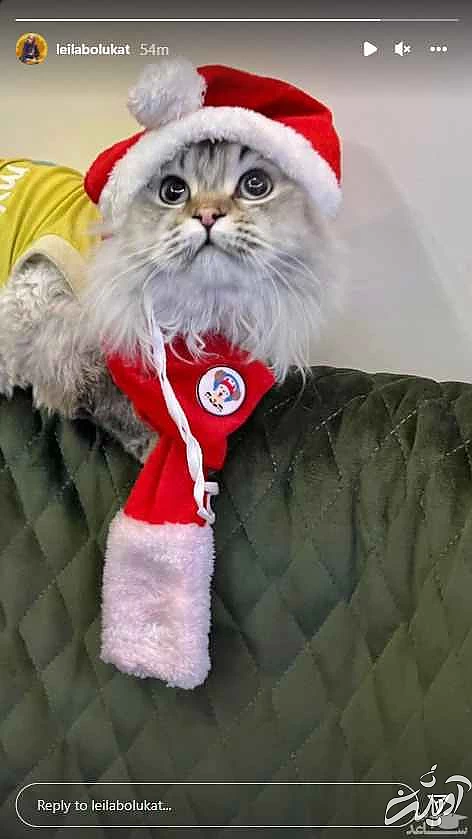 بابانوئل جالب و دیدنی لیلا بلوکات